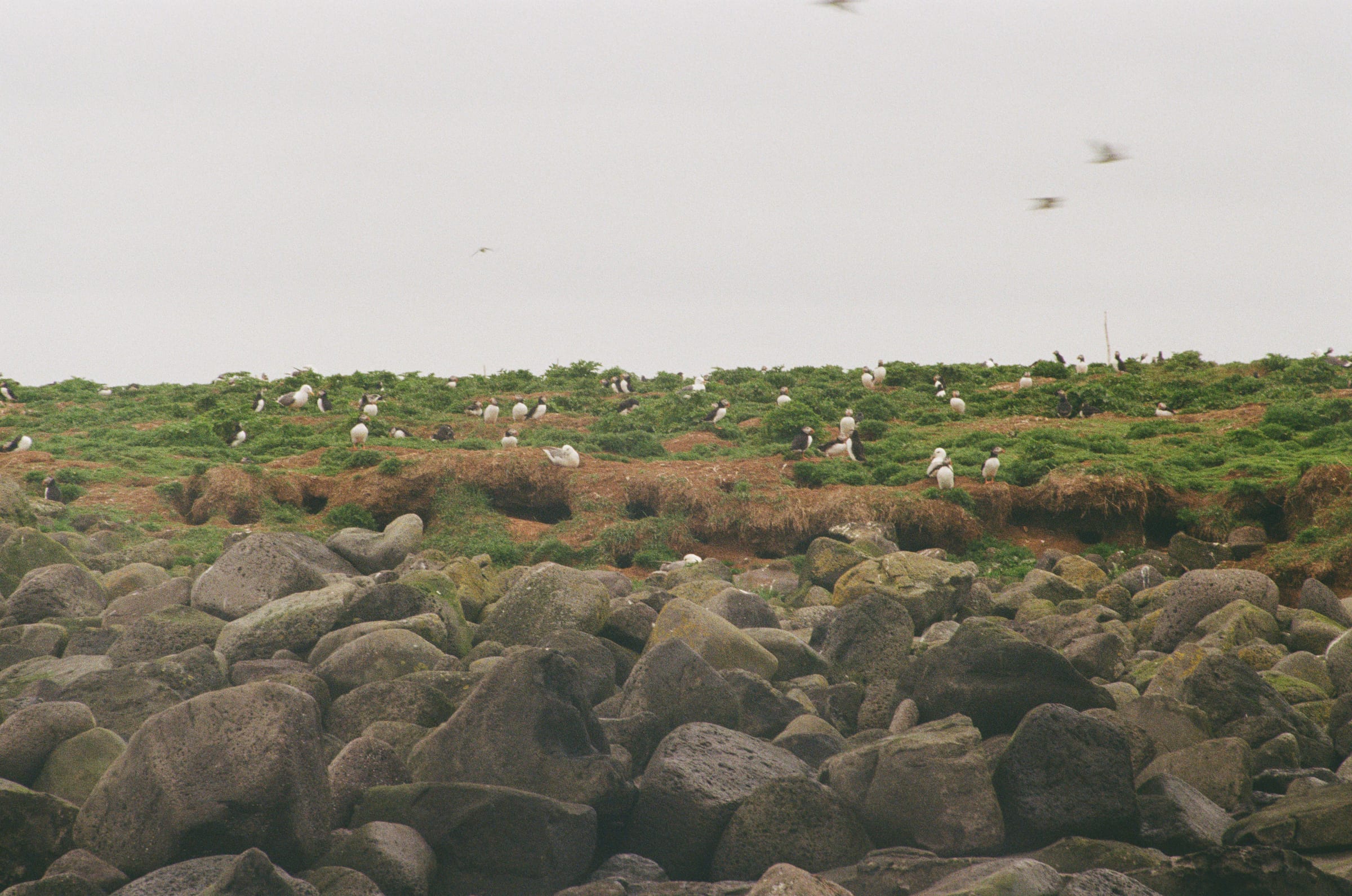 Iceland, Fuji 200 roll 1 frame 9