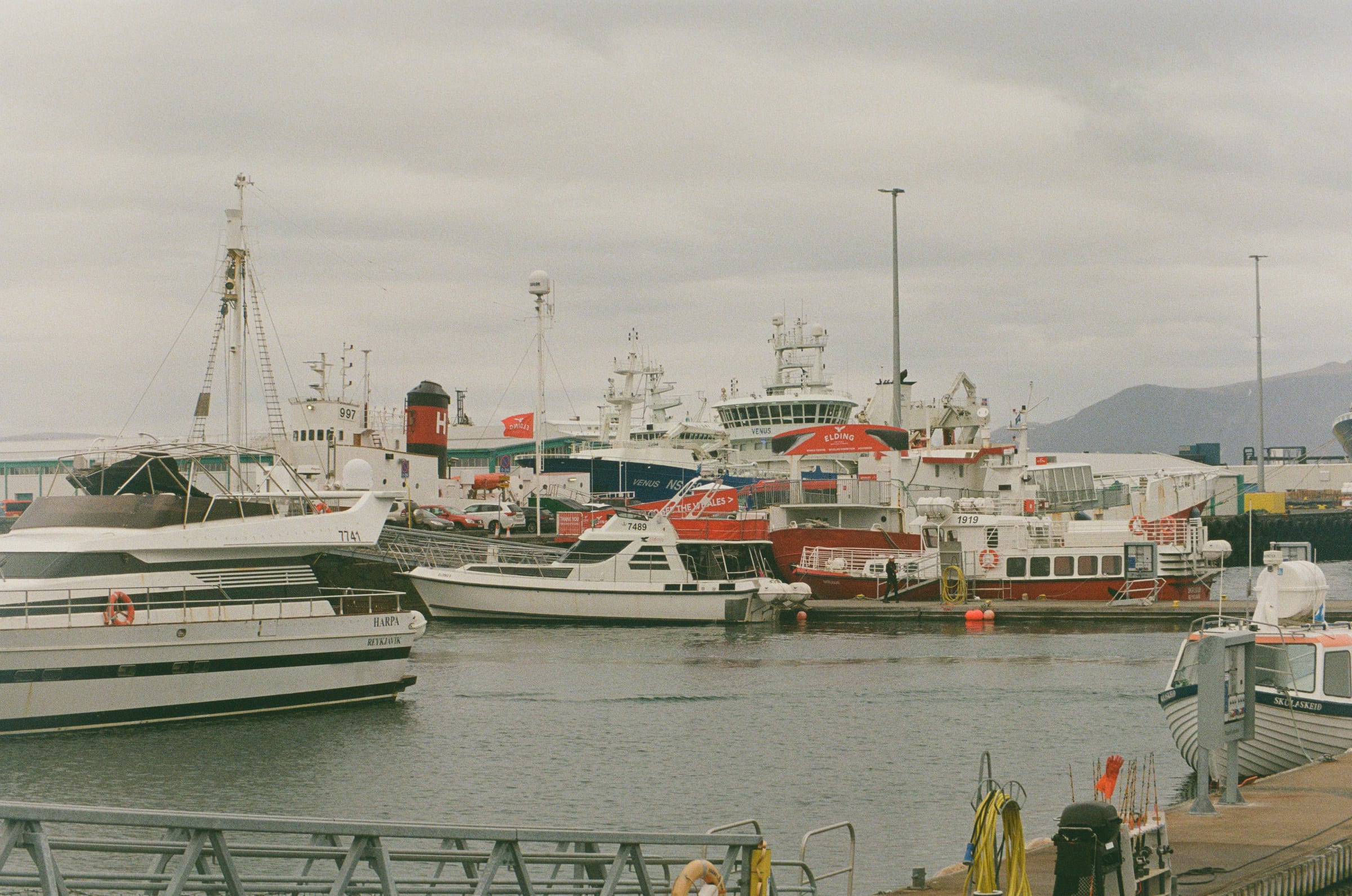 Iceland, Fuji 400 roll 3 frame 7