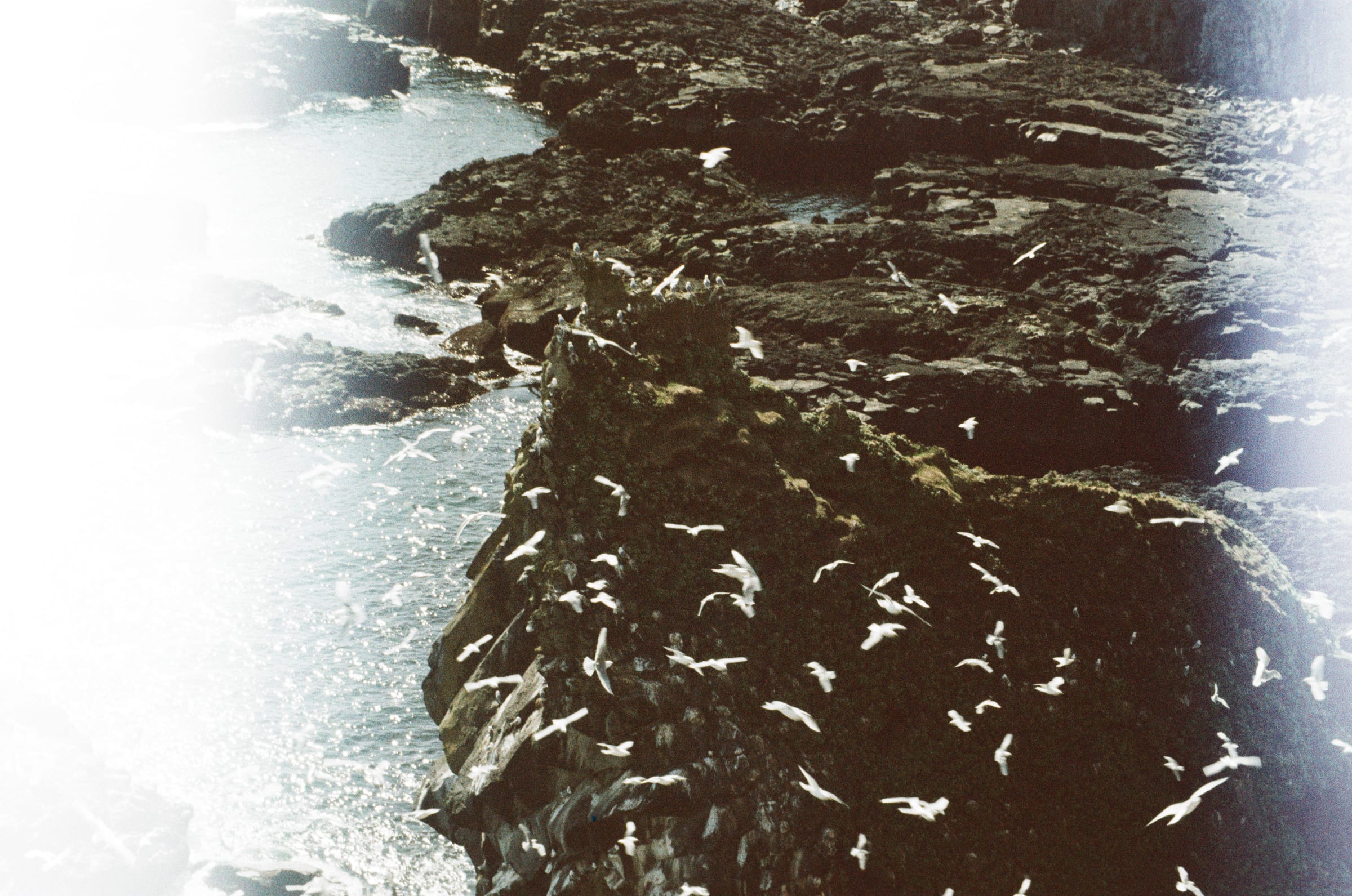 Iceland, Ilfocolor frame 3